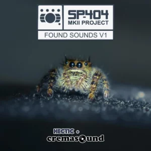 Found Sounds - SP-404 MK2 Project by CremaSound